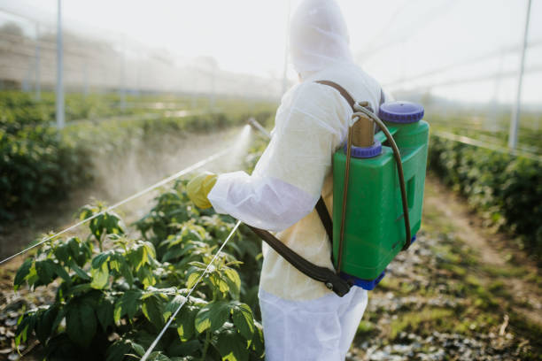 Best Affordable Pest Control Services  in Roscommon, MI